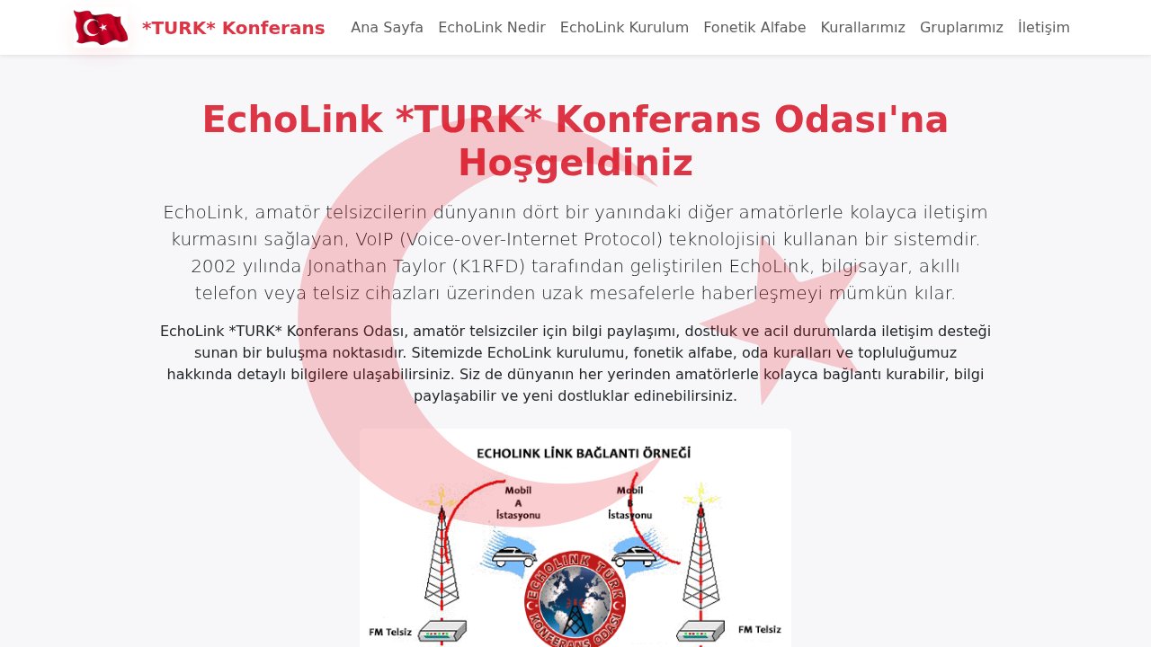 Türk Konferans EchoLink Ekran Görüntüsü